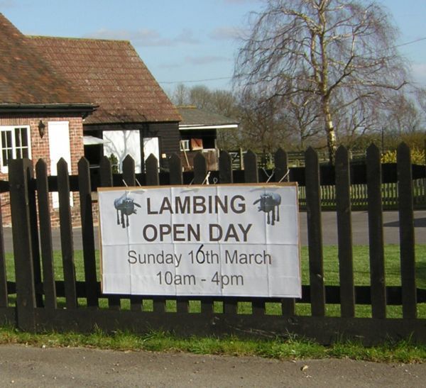 Poster on fence   Lambing Day