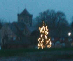 Tree lit up at dusk 