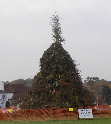 Chiddingfold Bonfire