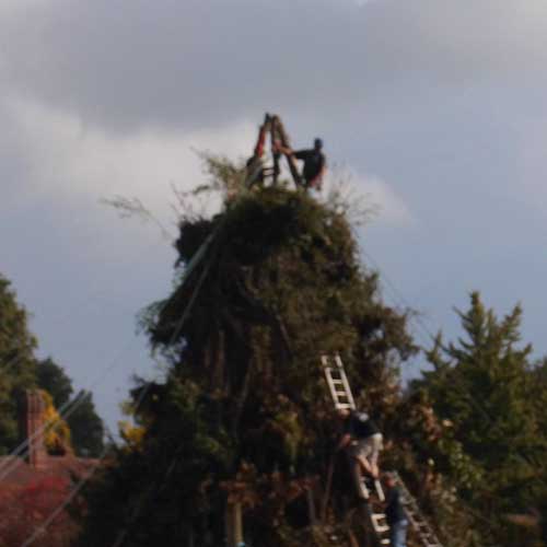 Bonfire being built