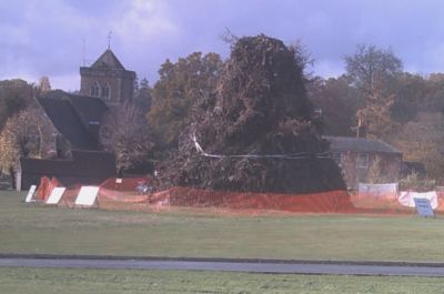 Bonfire with fence with view of church