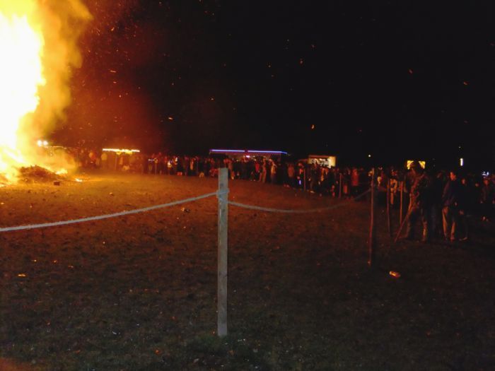 people looking at bonfire