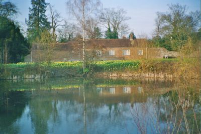 Village Pond with Daffadils