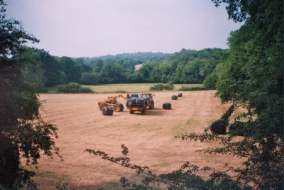 Forklift loading silage onto trailer