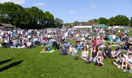 Crowd scene pepole sitting on grass