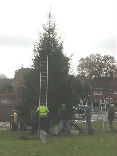 Prople round tree putting on lights etc.