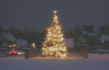 Tree lit up background snow covered buildings