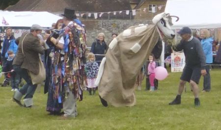 Giant sheep being fed