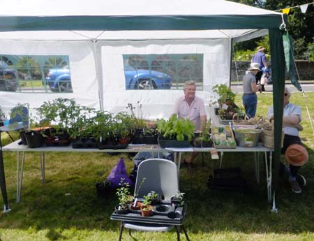 Chiddingfold Horticultural Society plant stall