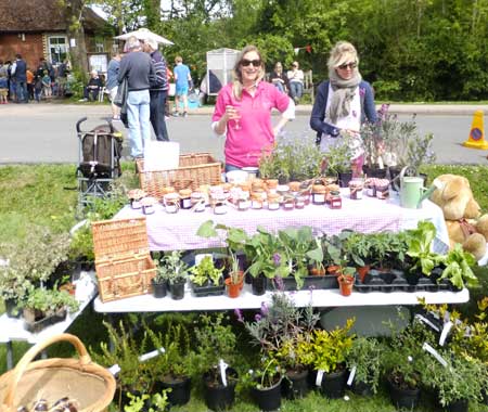 Plant stall