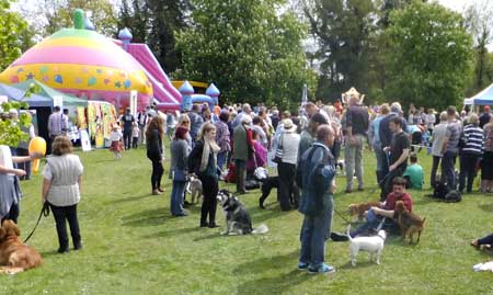 Crowd scene at fete