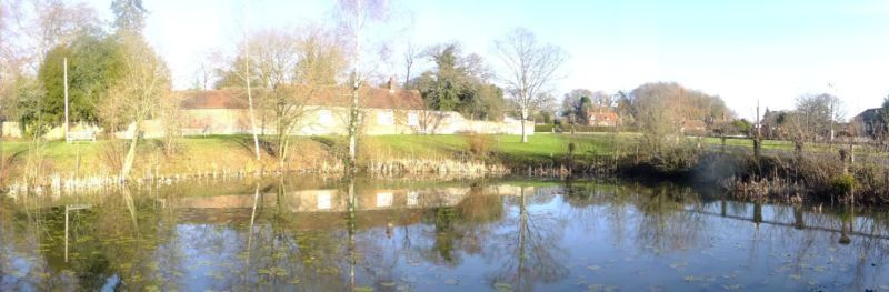 Village pond bare trees good light