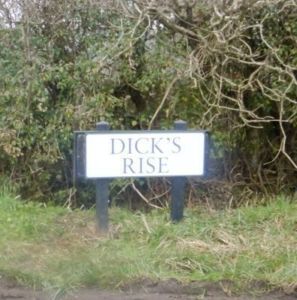 Road sign at Whites Hill reads Dicks Rise