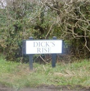 Road sign at Whites Hill reads Dicks Rise