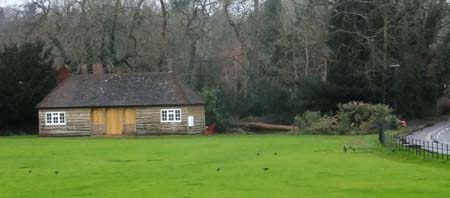 Cricket pavilion with pine lieing down next to it