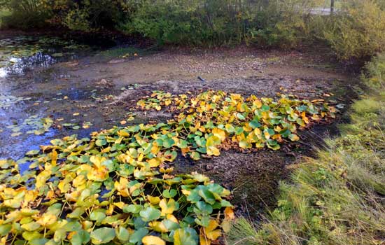 Village water level still low